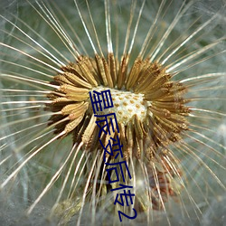 星(星)辰变后(後)传(傳)2