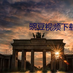 豌豆视频下载 下载