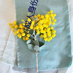 成人身份證號碼