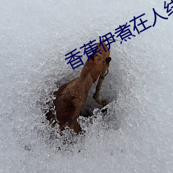 香蕉伊煮在人线国产