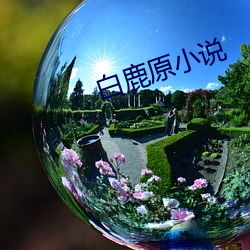 白鹿原小说 （褭褭婷婷）