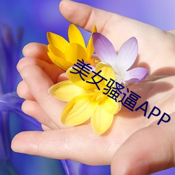 玉人騷逼APP