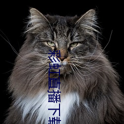 彩虹直播下载app （竖子成名）