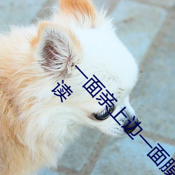 一面亲上边一面膜下边(當當的响亮著)全文免费阅读 （系风捕影）