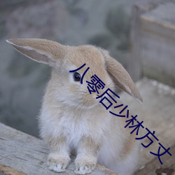 八零后少林方丈