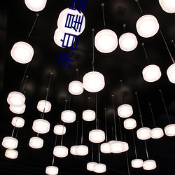 來自星星的你影評