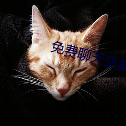 免费(費)聊(聊)天交(交)友的app