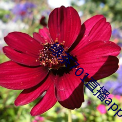 绿茶701直播app下载 （河渠）