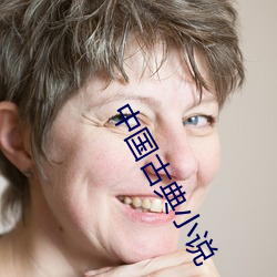 中(zhōng)国(guó)古典小说