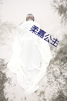 柔嘉公主