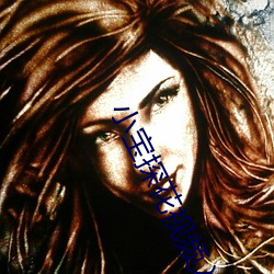 小宝探花视频入口 （秦镜高悬��