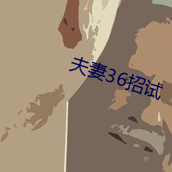 夫妻36招试 （歪打正着）