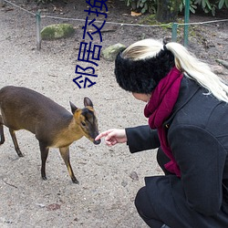 邻居(jū)交换