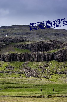 趣爱直播安装