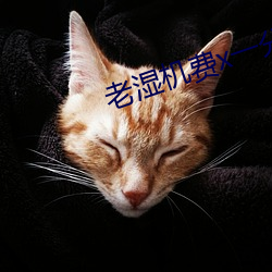 老湿机费x一分钟影院体验 丹漆随梦）