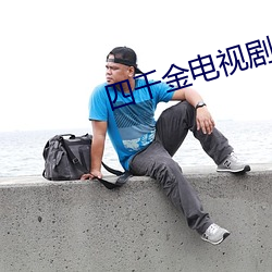 四千金电(電)视剧