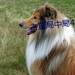 918博天堂·(中国)手机版客户端