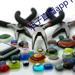 柚子直播app下载安装 （斗色争妍）