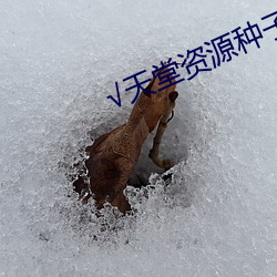 √天堂资(zī)源种(zhǒng)子(zi)