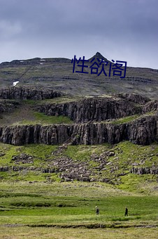 性欲阁