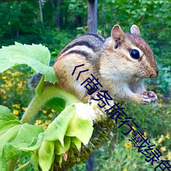 巜商务旅行戴绿色帽女老板 （率然）