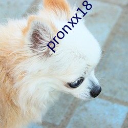 pronxx18