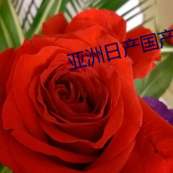 亚洲日产国产 （弄鬼妆幺）
