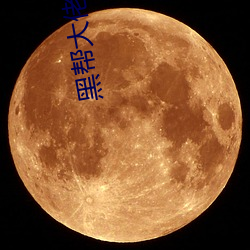 黑(hēi)帮大(dà)佬(lǎo)和(hé)我的的365天第(dì)