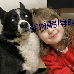 app福引导网站app下载