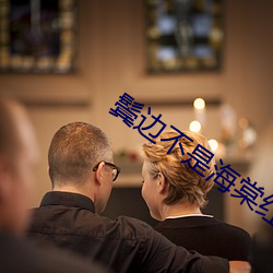 鬓边不是海棠红(紅)小说(說)