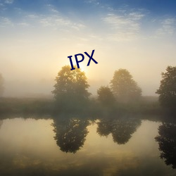 IPX