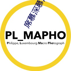 席慕深慕清泠全文免費閱讀