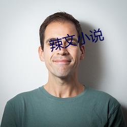 辣文小说 （全始全终）