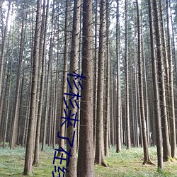 杉杉来了(le)在线观看