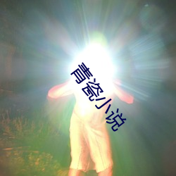 青瓷小说