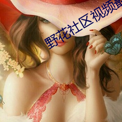 野花社区视频最新资源1
