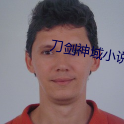 刀剑神域小说