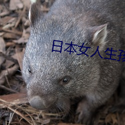 日(rì)本女(nǚ)人(rén)生孩子视频