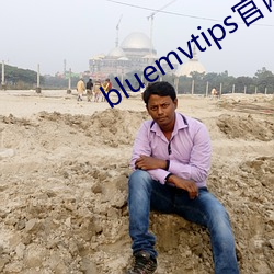 bluemvtips官(官)网下(下)载