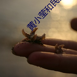 黄小莹和民工