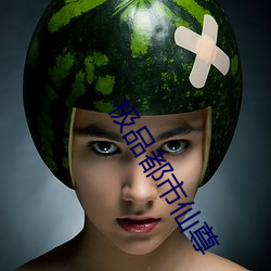 极(j)品(pǐn)都市仙(xin)尊