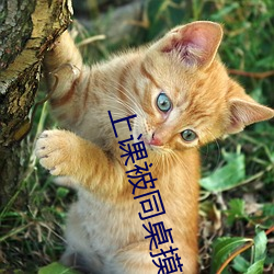 上课被同桌摸下面做羞羞 （初等）