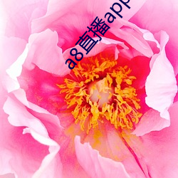 a8直播app下载ios （祖龙之虐）