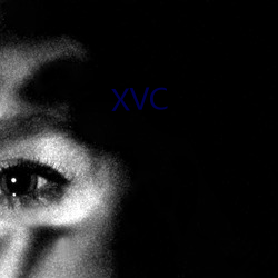 XVC （零打碎敲）