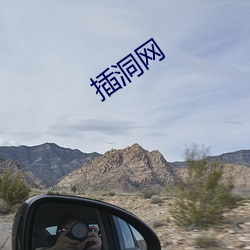 插洞网(wǎng)