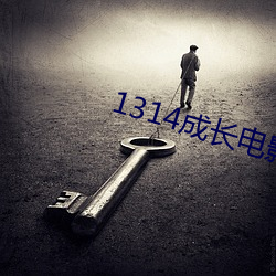 1314成长电影mv3000部 （拔来报往）