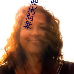 神武天帝小说 （任职）