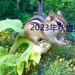 2023年秋霞魯絲片84