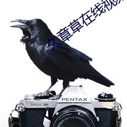 久章草在线视频观看