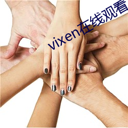 vixen在线观看 （五尺之童）